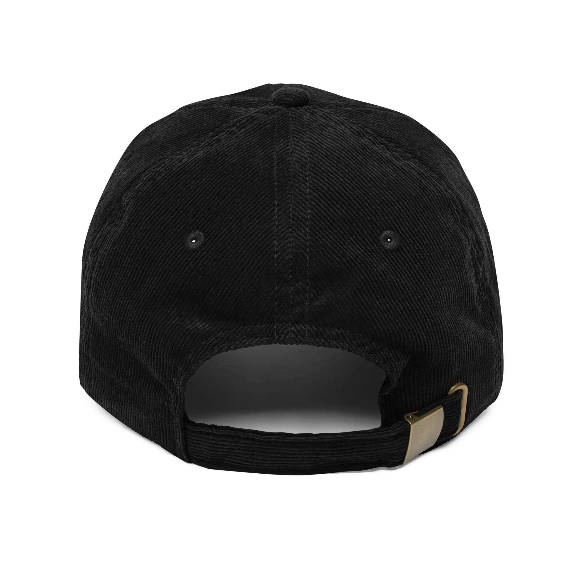 The Evolution Piss Corduroy Hat - Image 3
